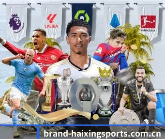 海星体育 APP（Haixing Sports）
